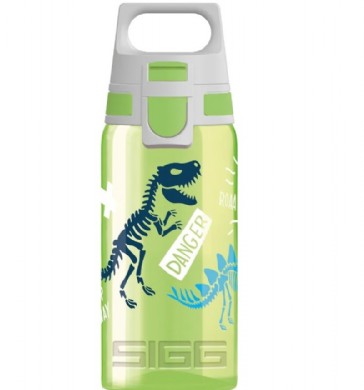 Trinkflasche mit Dinosauriermotieven transparent g